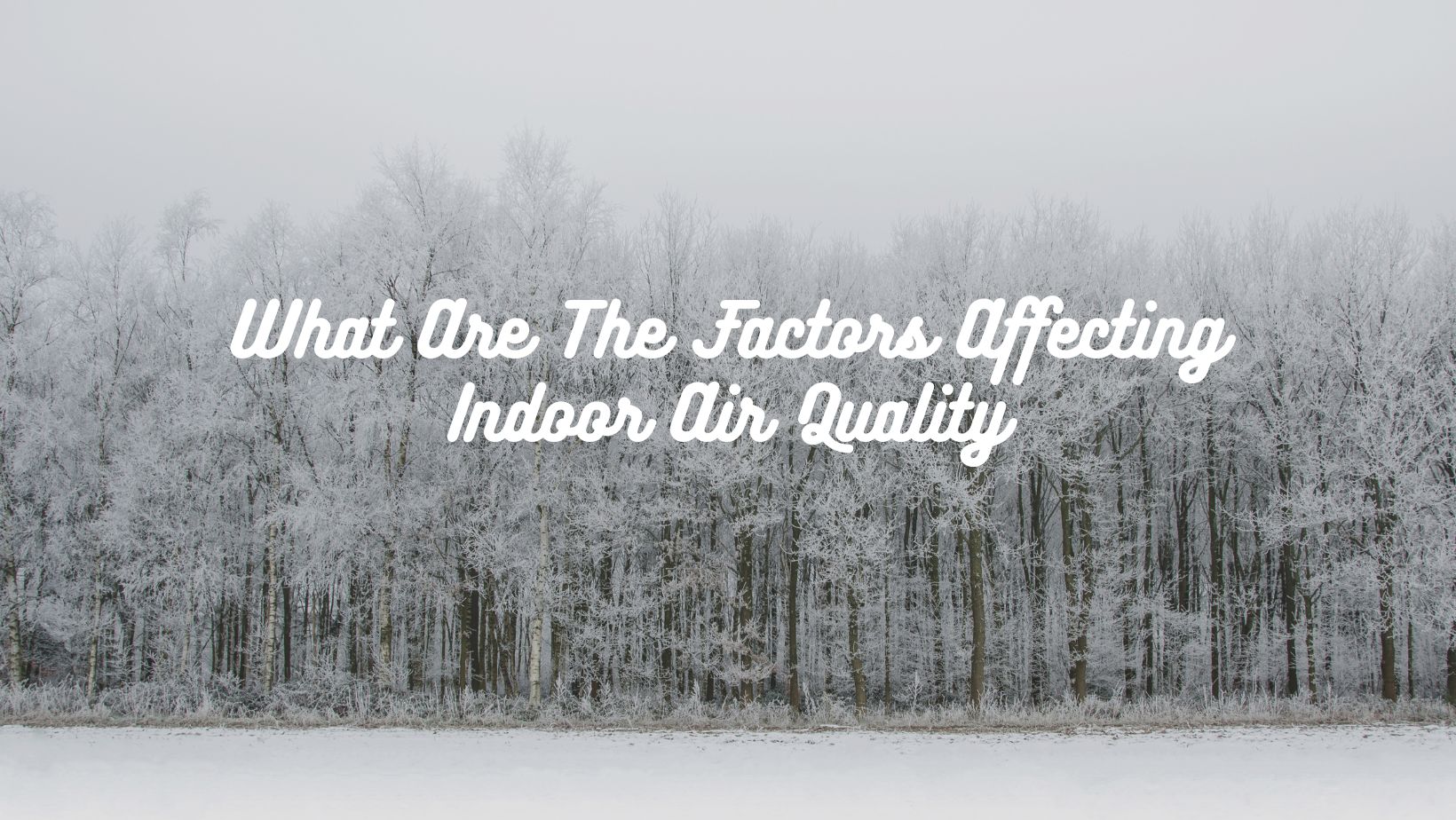 What Are The Factors Affecting Indoor Air Quality.jpg