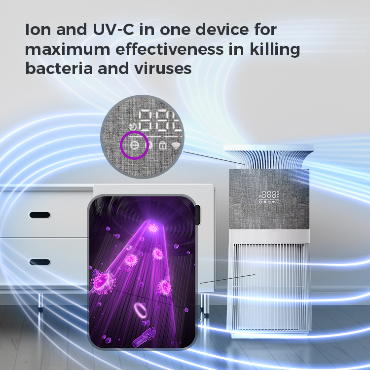 Purificador de aire para mascotas P300