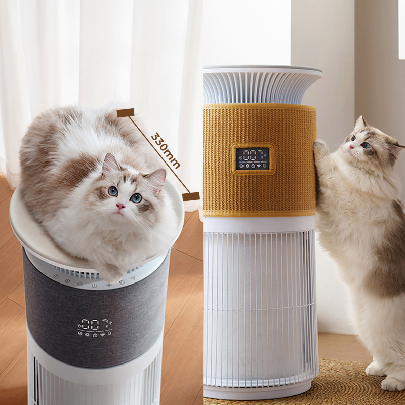 Bandeja P300 y tapa de protección